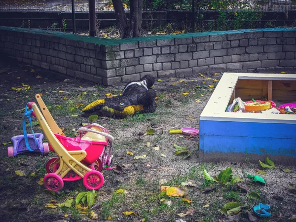Çocukların oyun parkındaki karantina bölgesinde panik içinde bıraktıkları oyuncaklar. Virüs saldırısının sonuçları. Çocuksuz oyun alanı.