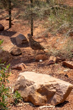 Omaha, Nebraska Us, 10 Temmuz 2019 Omaha Henry Hayvanat Bahçesi Çocukları ve Ailesi Hayvanat Bahçesinde Eğlenceli Bir Gün Geçiriyor