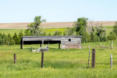 Old abandon animal shed behind fence 