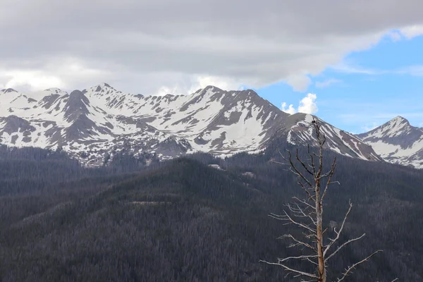 Μια άποψη του χιονιού καλύπτονται βουνά Κολοράντο rom πεζοπορία μονοπάτια — Φωτογραφία Αρχείου