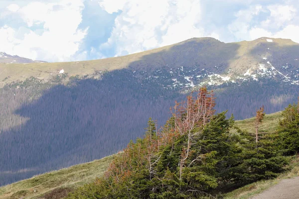 Μια άποψη του πράσινου χλοερό καλύπτονται βουνά του Κολοράντο — Φωτογραφία Αρχείου