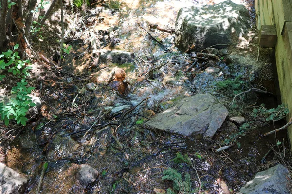 Rushing stream from waterfall along Colorado hiking trail — Stock Photo, Image