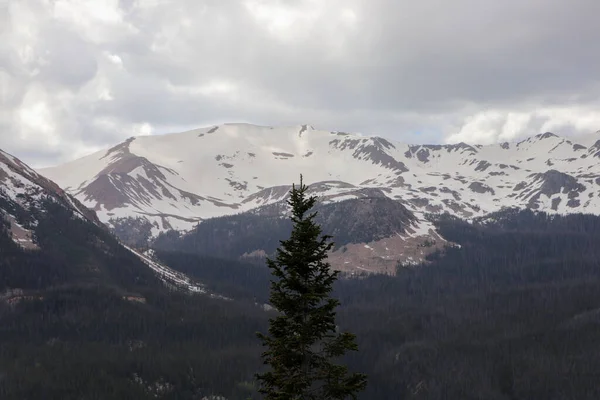 Die schneebedeckten Gipfel des Colorado-Gebirges Sommer 2019 — Stockfoto