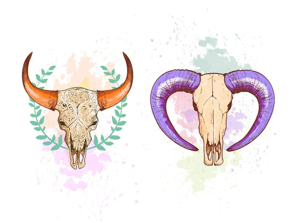 Skull sheep and buffalo collection — Stock Vector