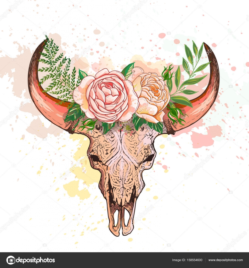 Skull Of A Cow With Horns Decorated With Flowers Stock Vector