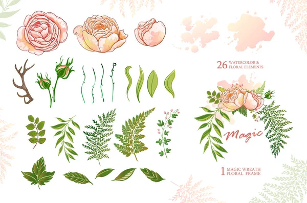 Magische krans met rozen, groene elementen voor ontwerp — Stockvector
