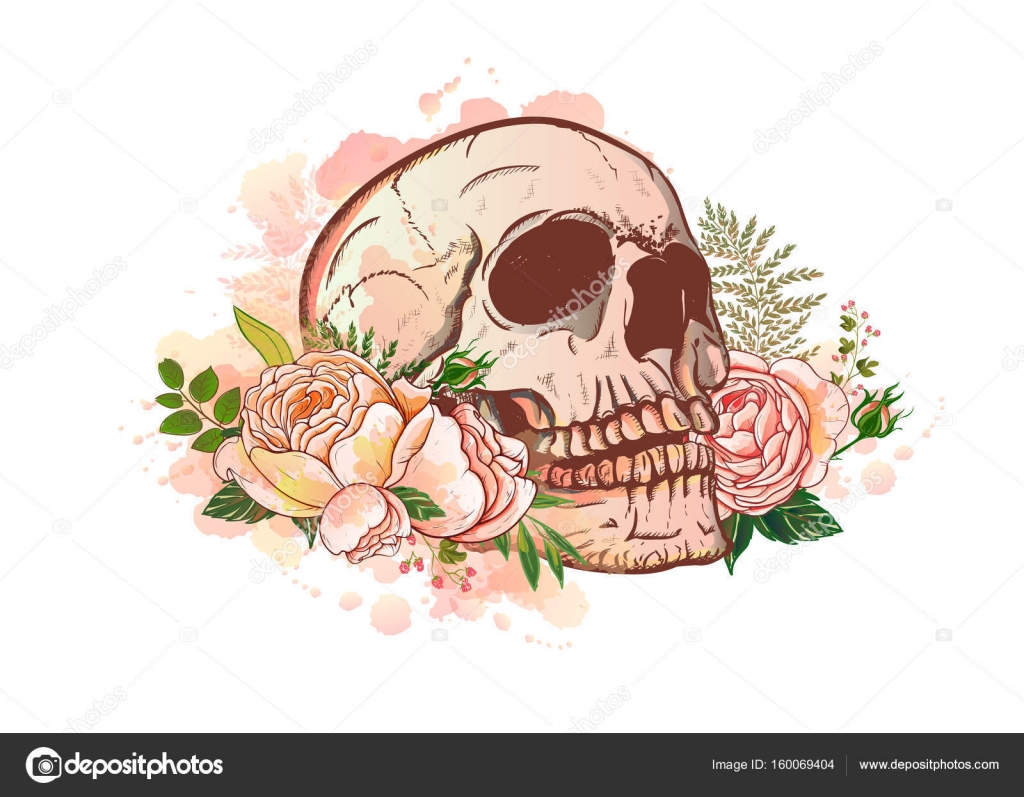 头骨与玫瑰图库矢量图©Lviktoria25 160069404, image size:1024x797
