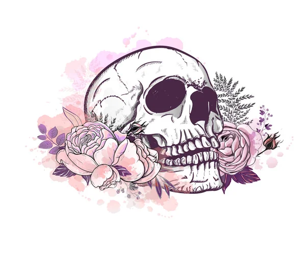 Skull with roses — Stock Vector