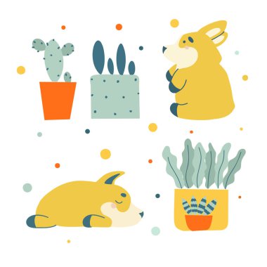 Yeşil kaktüslü, küçük, mutlu köpek corgisiyle düz set..