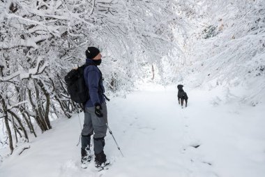 bilinmeyen bir adam parti köpeğiyle n karlı manzarada yürüyüş