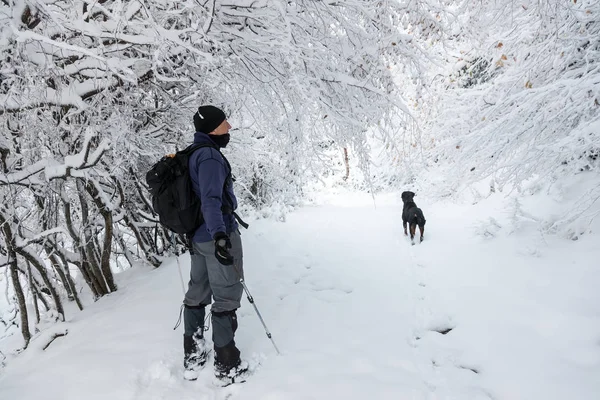 Hombre desconocido fiesta con su perro paseando en un paisaje nevado en n — Foto de Stock