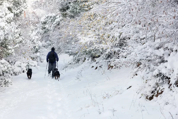 Desconhecido homem festa com seu cão andando em uma paisagem nevada em n — Fotografia de Stock