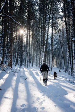  bilinmeyen bir adam parti köpeğiyle karlı manzarada yürüyüş 
