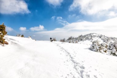  bilinmeyen bir adam parti köpeğiyle karlı manzarada yürüyüş 
