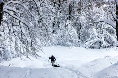  bilinmeyen bir adam parti köpeğiyle karlı manzarada yürüyüş 