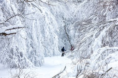  bilinmeyen bir adam parti köpeğiyle karlı manzarada yürüyüş 