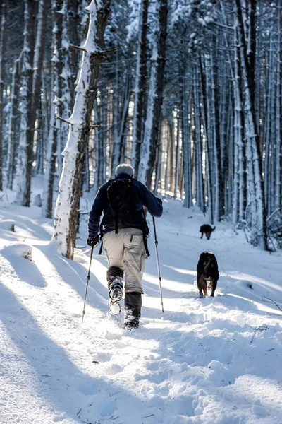 Unknown man party with his dog walking in a snowy landscape in — Stock Photo, Image