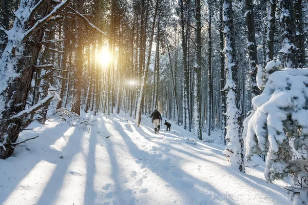 Desconhecido homem festa com seu cão andando em uma paisagem nevada em — Fotografia de Stock