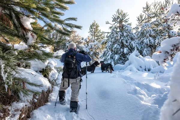 Hombre desconocido fiesta con su perro paseando en un paisaje nevado en — Foto de Stock