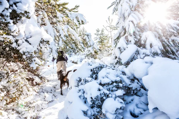 unknown man party with his dog walking in a snowy landscape in