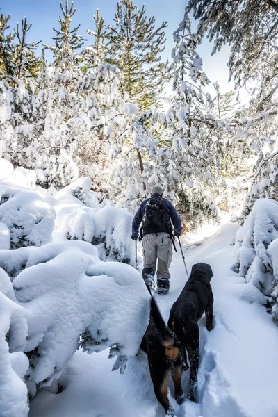Desconhecido homem festa com seu cão andando em uma paisagem nevada em — Fotografia de Stock
