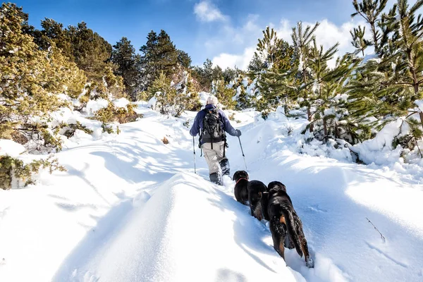 Desconhecido homem festa com seu cão andando em uma paisagem nevada em — Fotografia de Stock