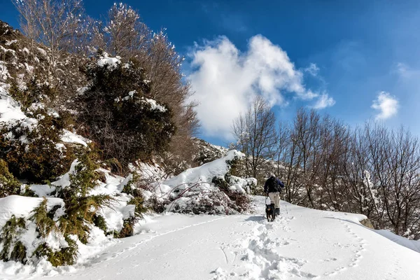Вечеринка неизвестного мужчины со своей собакой, гуляющей по снежному ландшафту — стоковое фото