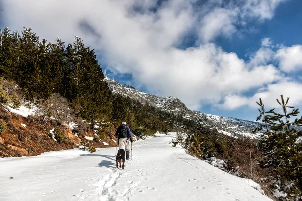 Hombre desconocido fiesta con su perro paseando en un paisaje nevado en — Foto de Stock