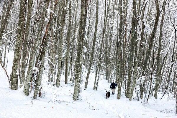 不知名的男人方和他的狗走在雪景中 — 图库照片