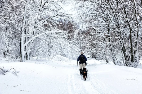 Hombre desconocido fiesta con su perro paseando en un paisaje nevado en — Foto de Stock