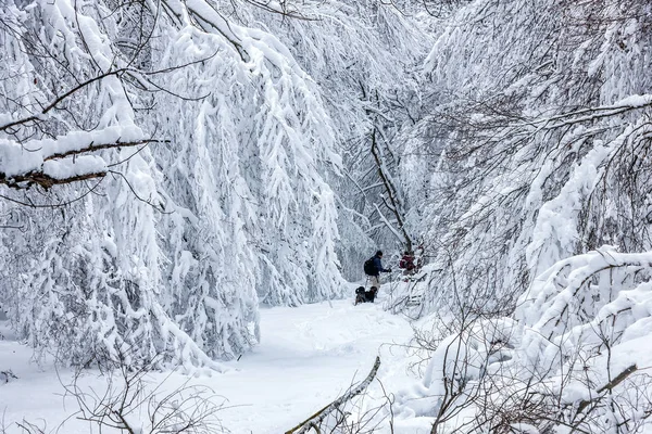 Okänd man part med sin hund promenader i ett snöigt landskap i — Stockfoto