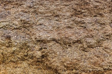 biyogaz üretimi için kullanılan hammaddeler