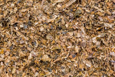 biyogaz üretimi için kullanılan hammaddeler