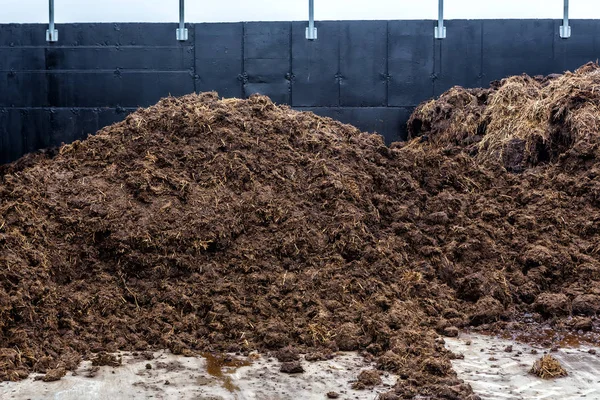 Grondstoffen van dierlijke afvallen, gebruikt voor de productie van biogas — Stockfoto