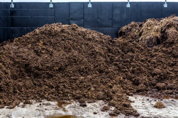 Сировина з тваринних відходів, що використовується для виробництва біогазу — стокове фото