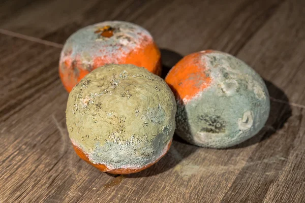 Rotten and fresh tangerine fruit with mold. — Stock Photo, Image