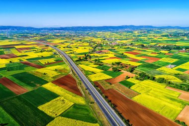 Bloom ile kırsal manzara buradan geçen yolun havadan görünümü