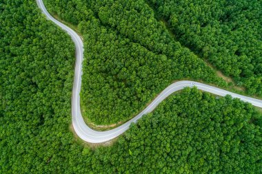 Bir orman yoluyla geçen il yolu havadan görünümü