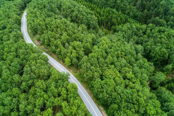 Aerial view of  provincial road passing through a forest