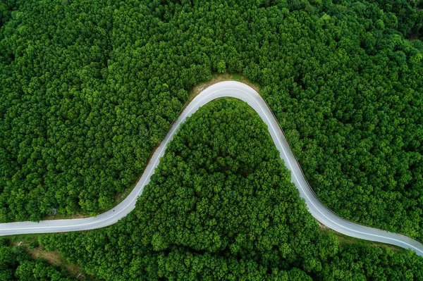 Flygfoto över provincial road passerar genom en skog — Stockfoto