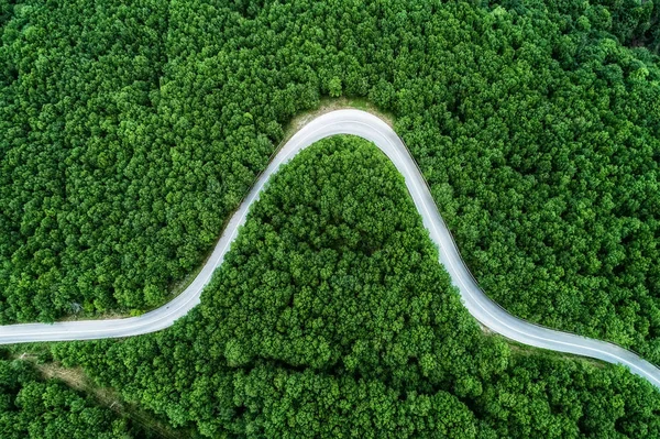 Luftaufnahme einer Provinzstraße, die durch einen Wald führt — Stockfoto