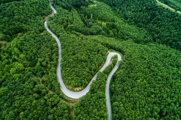 Aerial view of  provincial road passing through a forest — Stock Photo, Image