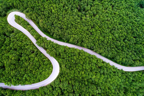 Aerial view of  provincial road passing through a forest