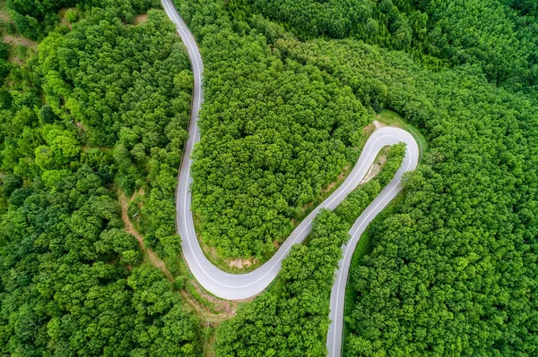 Aerial view of  provincial road passing through a forest — Stock Photo, Image