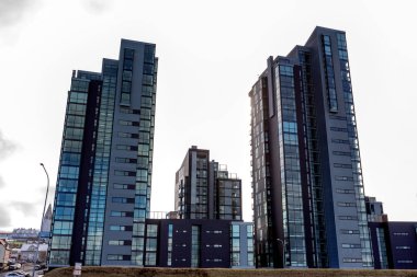 Reykjavik İzlanda sermaye city modern binalar