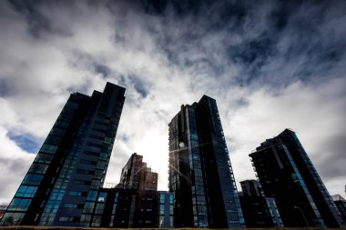 Reykjavik İzlanda sermaye city modern binalar