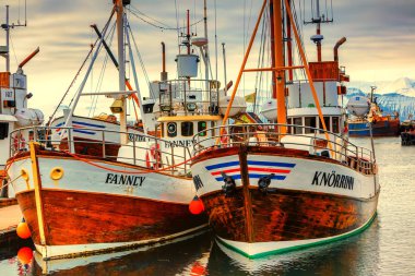 Geleneksel balina Husavik liman yalan tekneler 