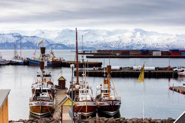 Traditionella båtar liggande i den hamnen Husavik valskådning — Stockfoto