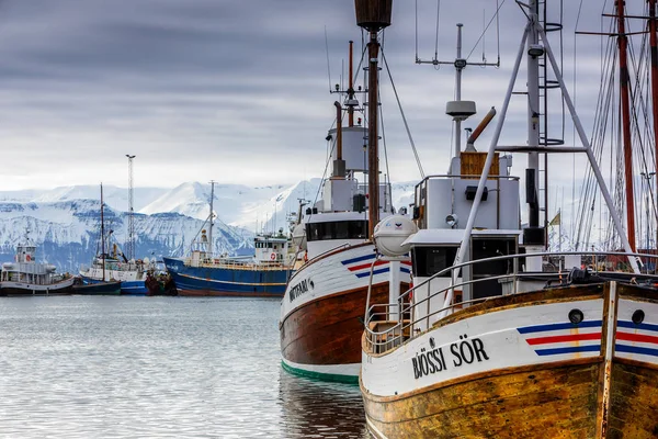 Barche tradizionali di avvistamento balene nel porto di Husavik — Foto Stock