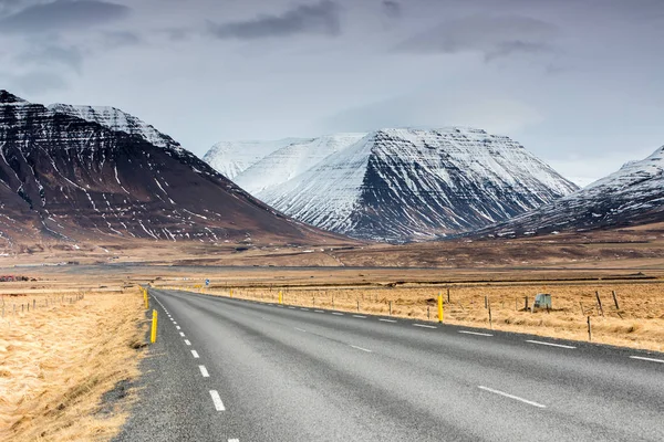 Paysage typique de l'Islande avec route et montagnes . — Photo